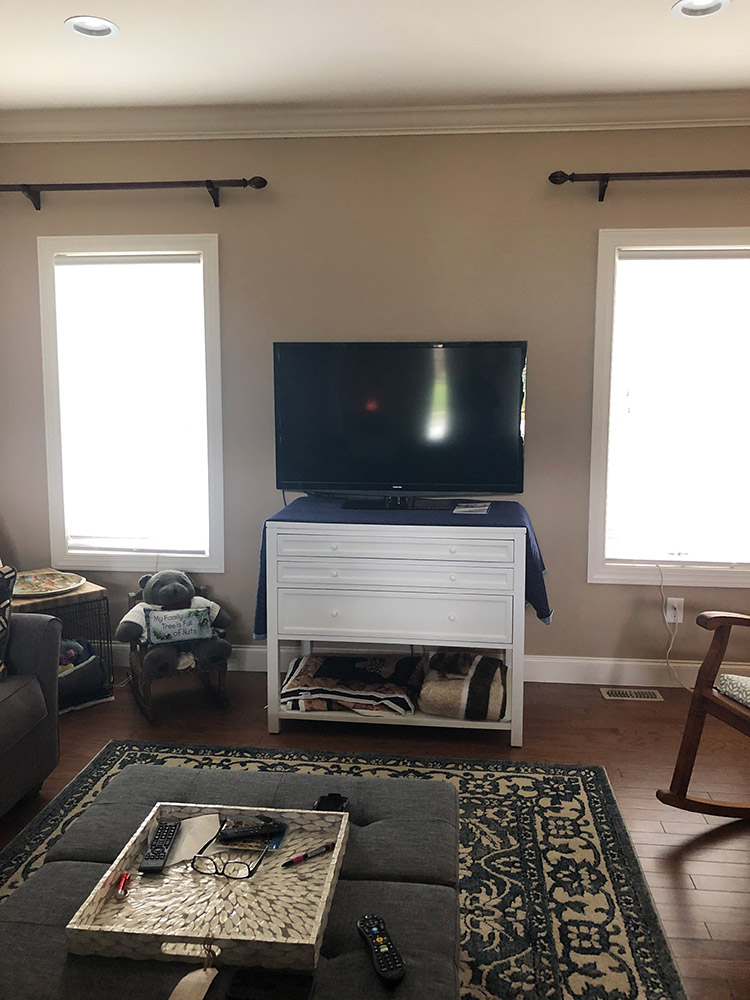 living room with television