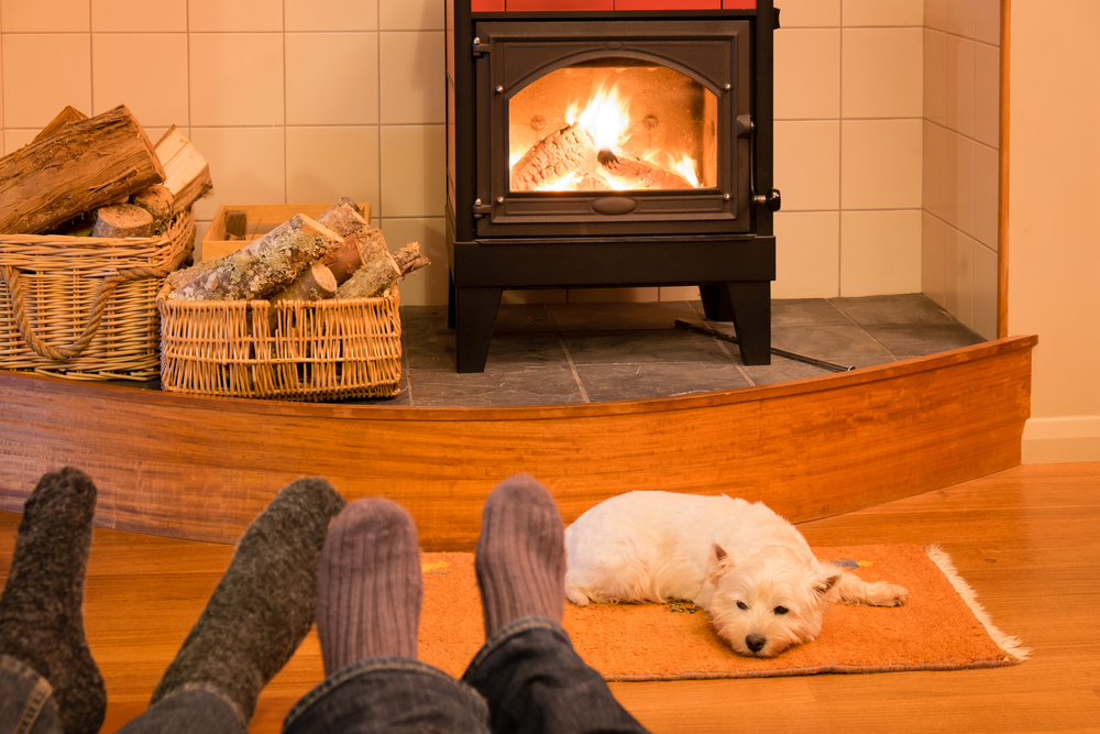 Wood Stove Pros And Cons Lanchester, Does A Wood Burning Stove Heat Better Than Fireplace