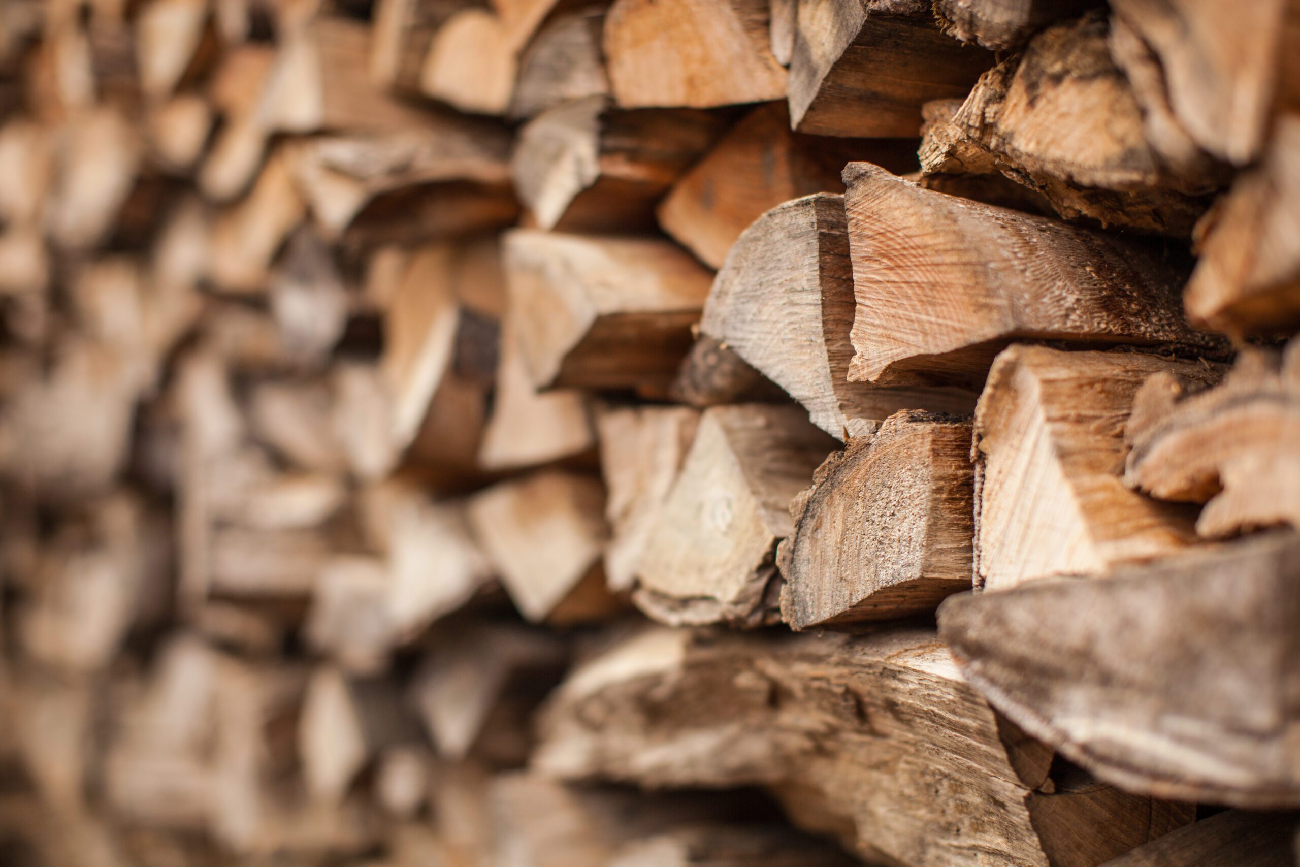 A photo of a stack of firewood where a few pieces of wood are focused and the rest of the pieces are unfocused